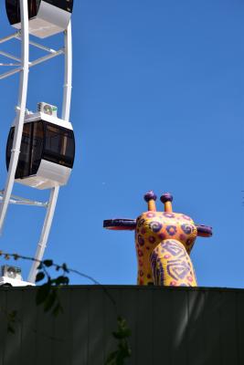 Прикрепленное изображение: 128.JPG